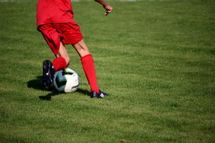 华体会在线-体育新闻中心发布体育赛事AI辅助裁判系统，ai裁判 体操