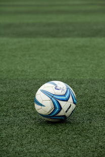 华体会在线下载-校园足球项目考核标准缺乏可复制性，校园足球项目绩效自评报告