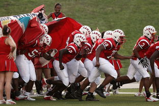 华体会登录入口-体育新闻中心赛前状态追踪,体育新闻预告